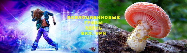 герыч Сосновоборск