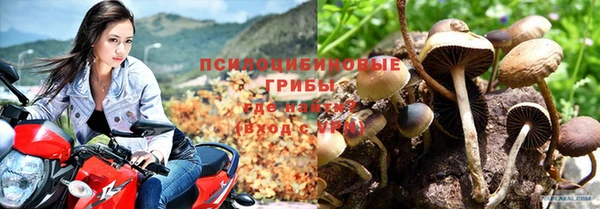 mdpv Сосновка
