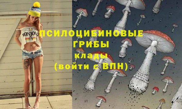 марки nbome Сосновый Бор