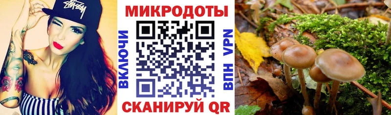 продажа наркотиков Устюжна Псилоцибиновые грибы GOLDEN TEACHER